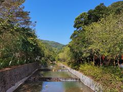 -广州白江湖森林公园