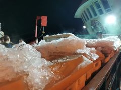 -中国舟山国际水产城
