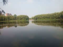 -东坝千亩湖公园