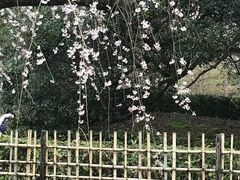 -京都御所