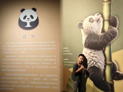 -深圳博物馆历史民俗馆