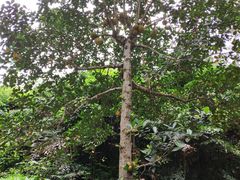 -北海市海滨公园