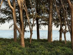 -阳澄湖半岛旅游度假区