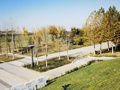 -瀛海足球主题公园