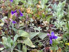 -樱桃山旅游景区