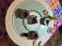 -柳沟豆腐宴69号福豆堂