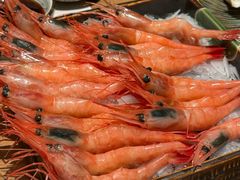 -耕海蟹将军(万象城店)