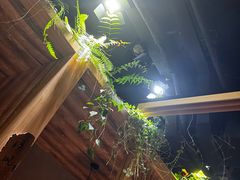 -森味薪火烧•烧鸟居酒屋•日本料理(望京店)