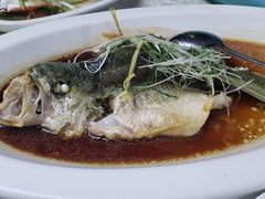 清蒸黄花鱼-海鲜e族(马王堆店)