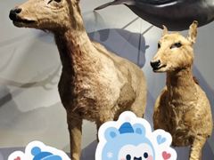 -中国湿地博物馆
