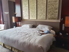 -北京首都机场希尔顿酒店