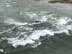 -深圳湾公园(南山区)