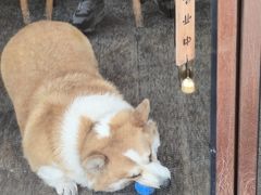 -肥朵食堂(带梦胡同店)