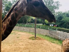 -石家庄市动物园