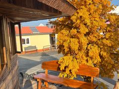 -Blue Concept Cafe&Farm·關於藍
