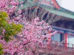 -滕王阁旅游区