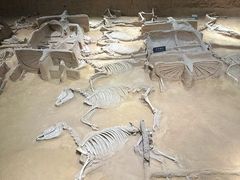 -洛阳周王城天子驾六博物馆