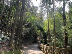 -广州市流溪河国家森林公园