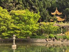 -嘉定紫藤园