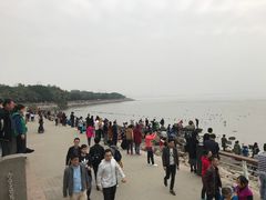 -若蘭慈·无国界素食料理(欢乐海岸店)