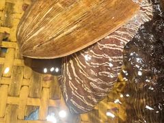 -龙宴海鲜城(经中路店)