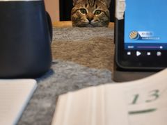 -宠颐生宠物医院外科·内科·皮肤科·影像科(石龙店)