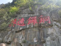 -铁山坪森林公园