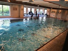 -浙江安吉JW万豪酒店·万豪中餐厅