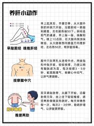 点击看大图 -玛莲朵·海菲秀冰珀科