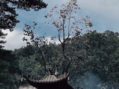 -潭柘寺景区