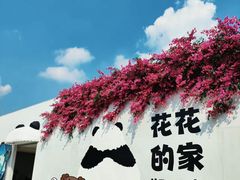 -成都大熊猫繁育研究基地
