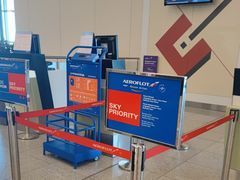 -谢列梅捷沃国际机场