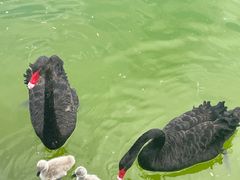 -水上乐园·欢乐世界