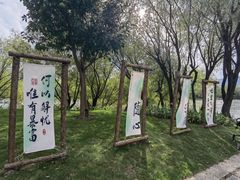 -长兴太湖图影湿地文化园