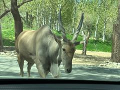 -北京野生动物园