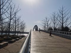 -大兴滨河森林公园