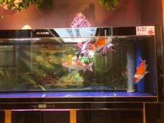 -清真·金城老碗牛肉面揪面片(兰州总店)