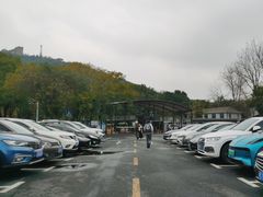 -佘山国家森林公园-1号地面停车场