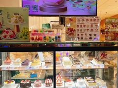 -多乐之日(公益西桥店)