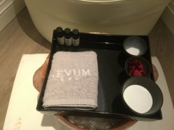 -奥斯芬·欧系贵族SPA
