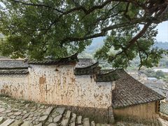 -杨家堂村