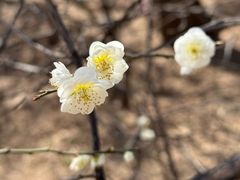 -北京鹫峰国家森林公园