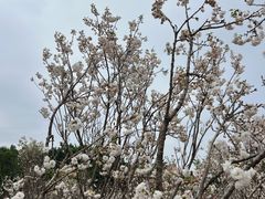 -观澜湖生态运动公社