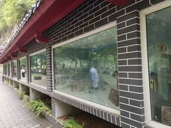 -汉中石门栈道风景区