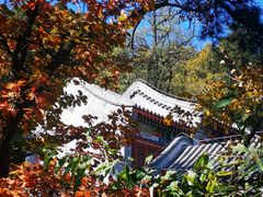 -阳台山自然风景区