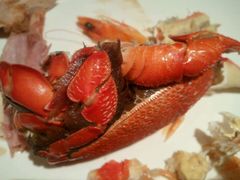 android_upload_pic-AdD全日制餐厅(中谷花园酒店)