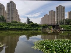 -前关湿地公园