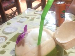 -Jungle Kitchen