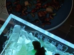 -胡桃里乐队酒馆(大庆店)