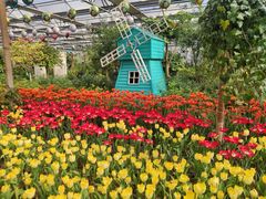 -南宫五洲植物乐园